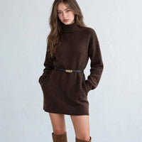 Turtleneck Long Sleeve Sweater Dress
